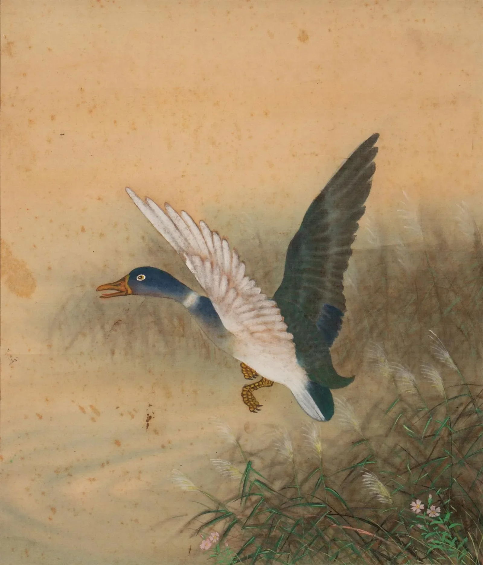 1920s Early Showa Era Japanese Watercolor Painting, "Mallard Duck" - 2