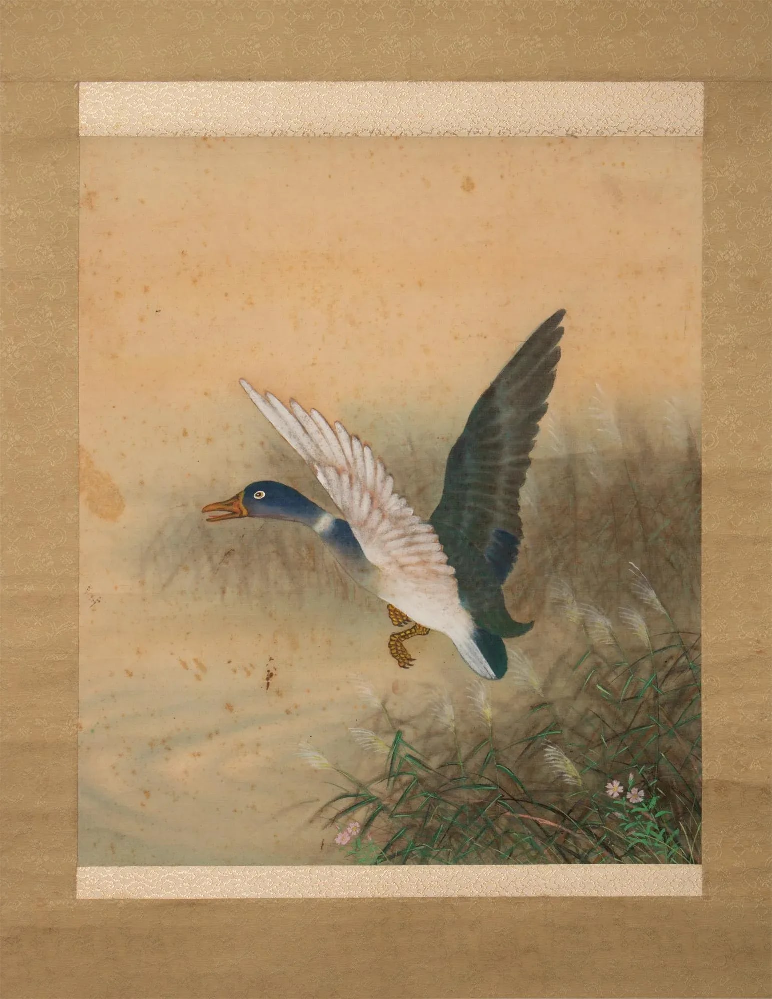 1920s Early Showa Era Japanese Watercolor Painting, "Mallard Duck" - 3