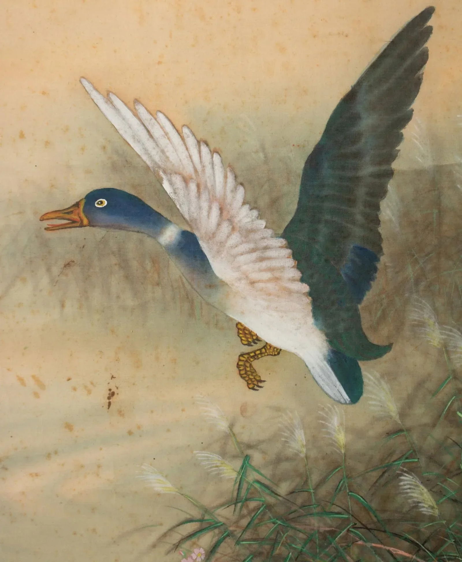 1920s Early Showa Era Japanese Watercolor Painting, "Mallard Duck" - 4