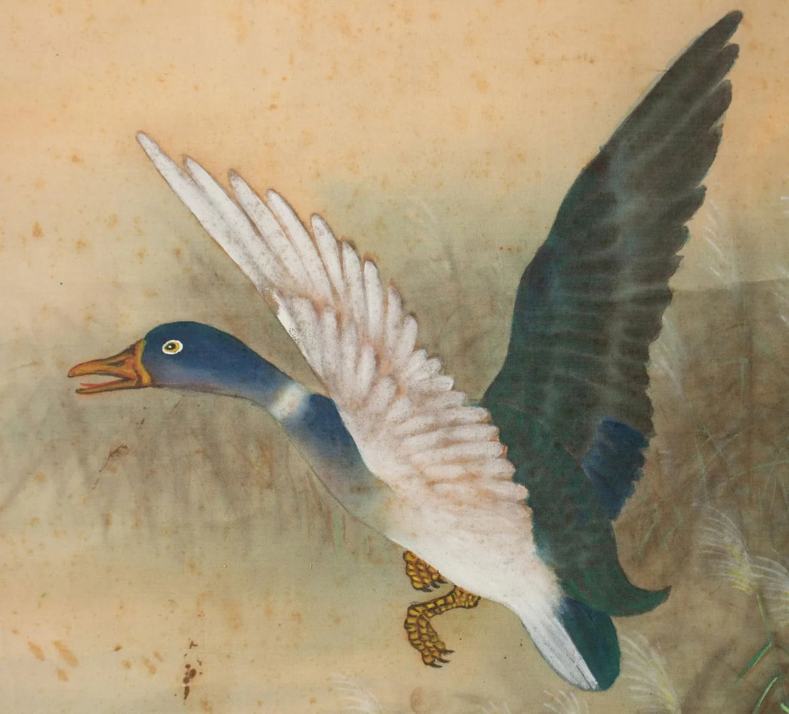 1920s Early Showa Era Japanese Watercolor Painting, "Mallard Duck" - 5