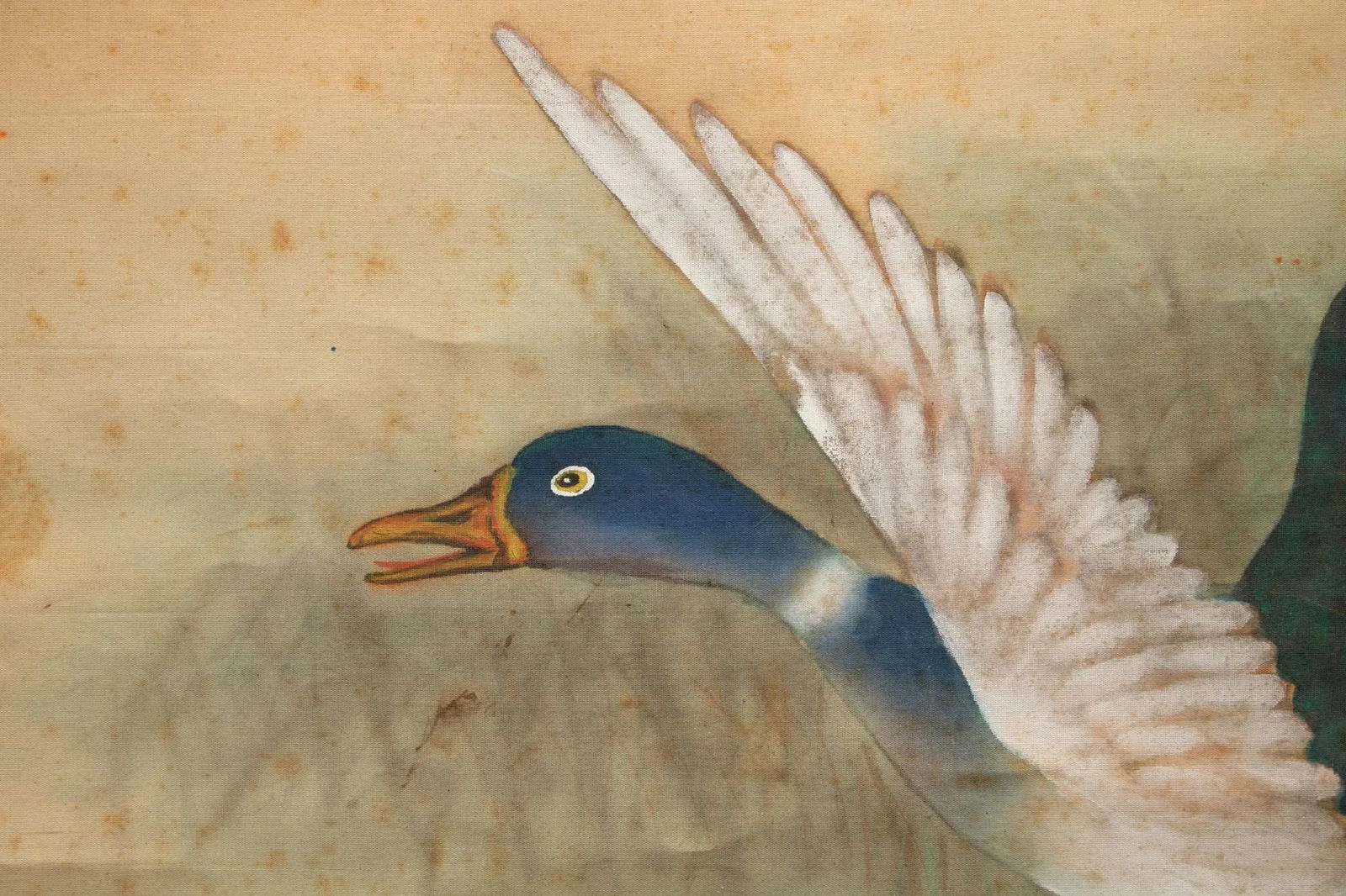 1920s Early Showa Era Japanese Watercolor Painting, "Mallard Duck" - 6