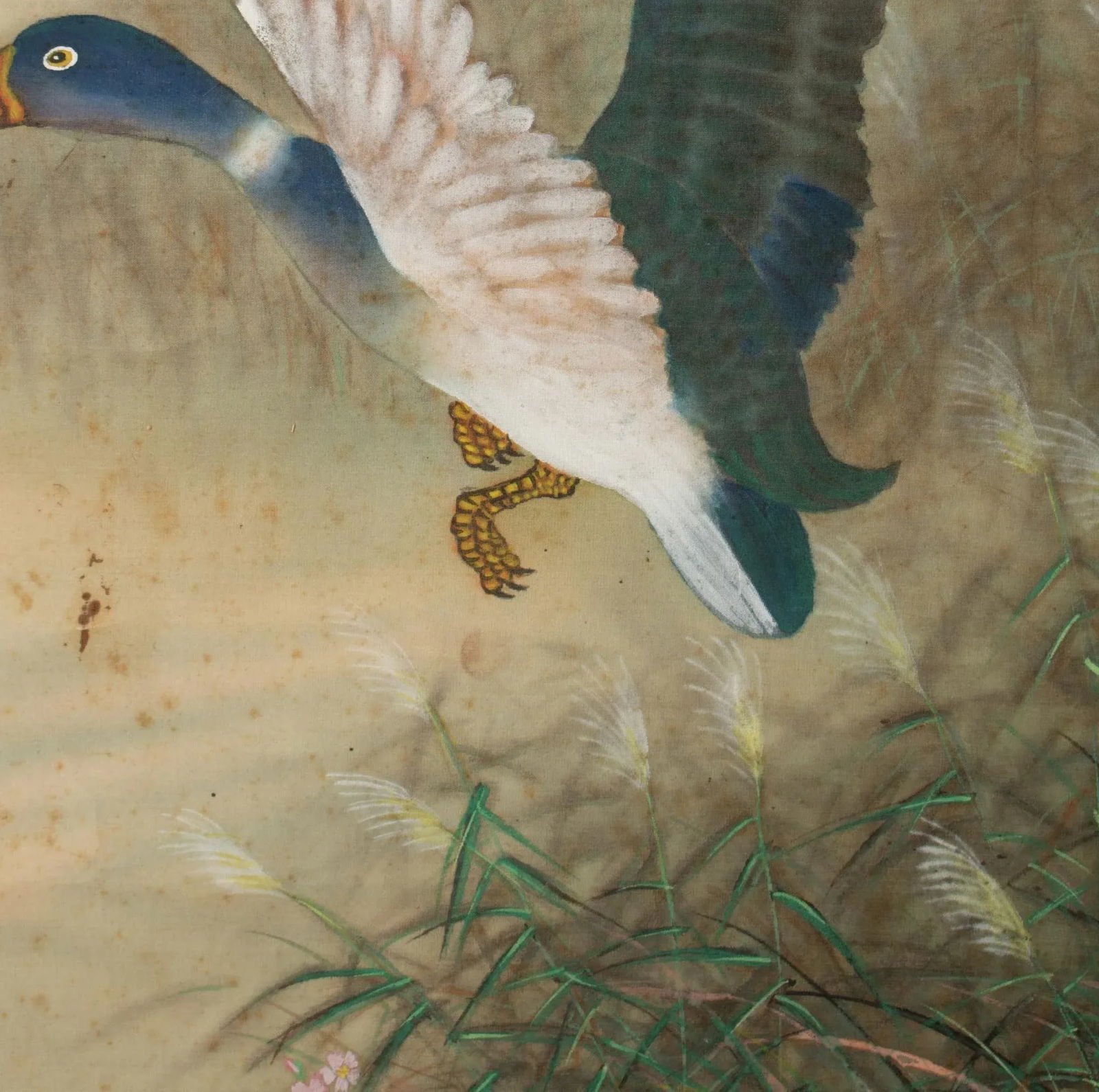 1920s Early Showa Era Japanese Watercolor Painting, "Mallard Duck" - 7