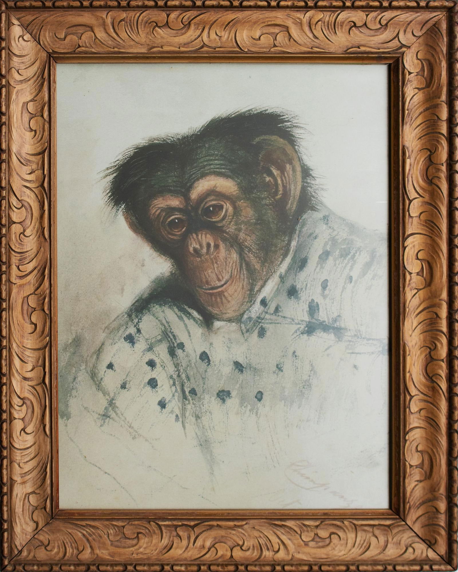 After Edward Lear "Portrait of Chimpanzee", Large Reproduction Print in Antique Frame - 10