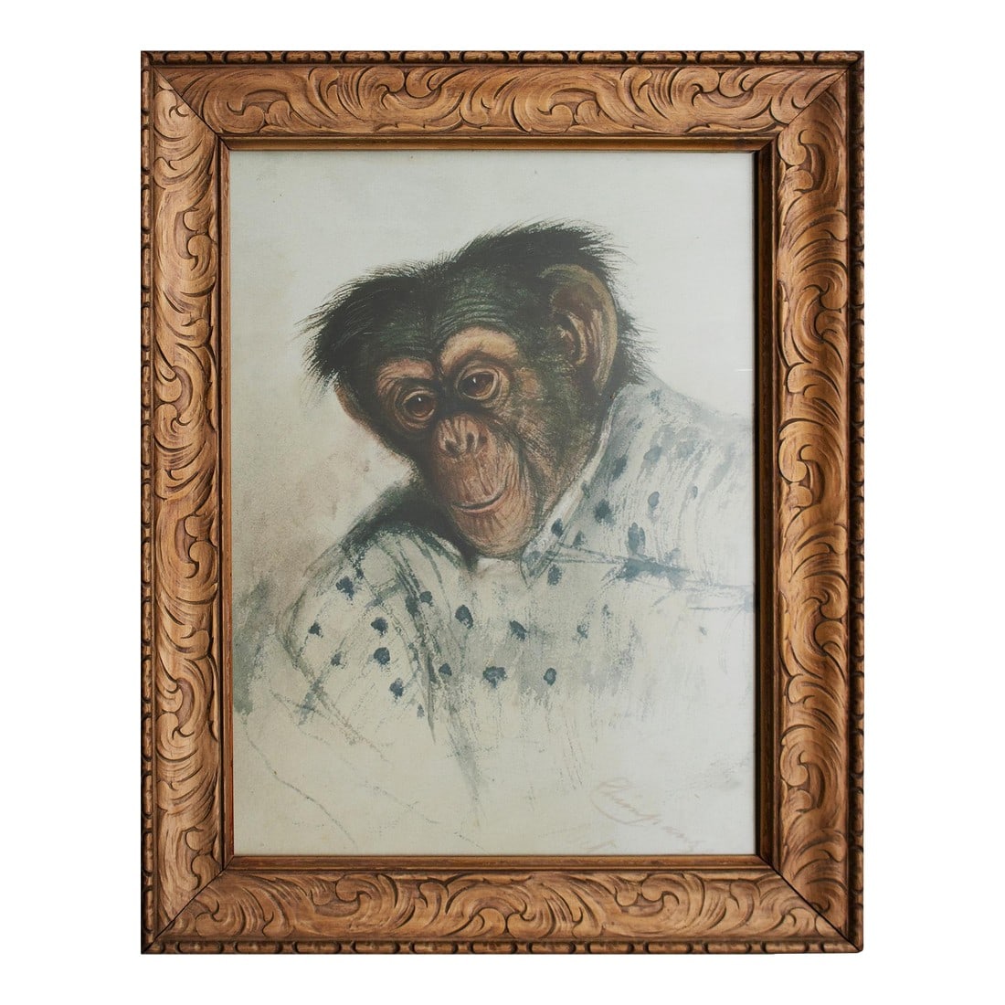 After Edward Lear "Portrait of Chimpanzee", Large Reproduction Print in Antique Frame (1 of 10)
