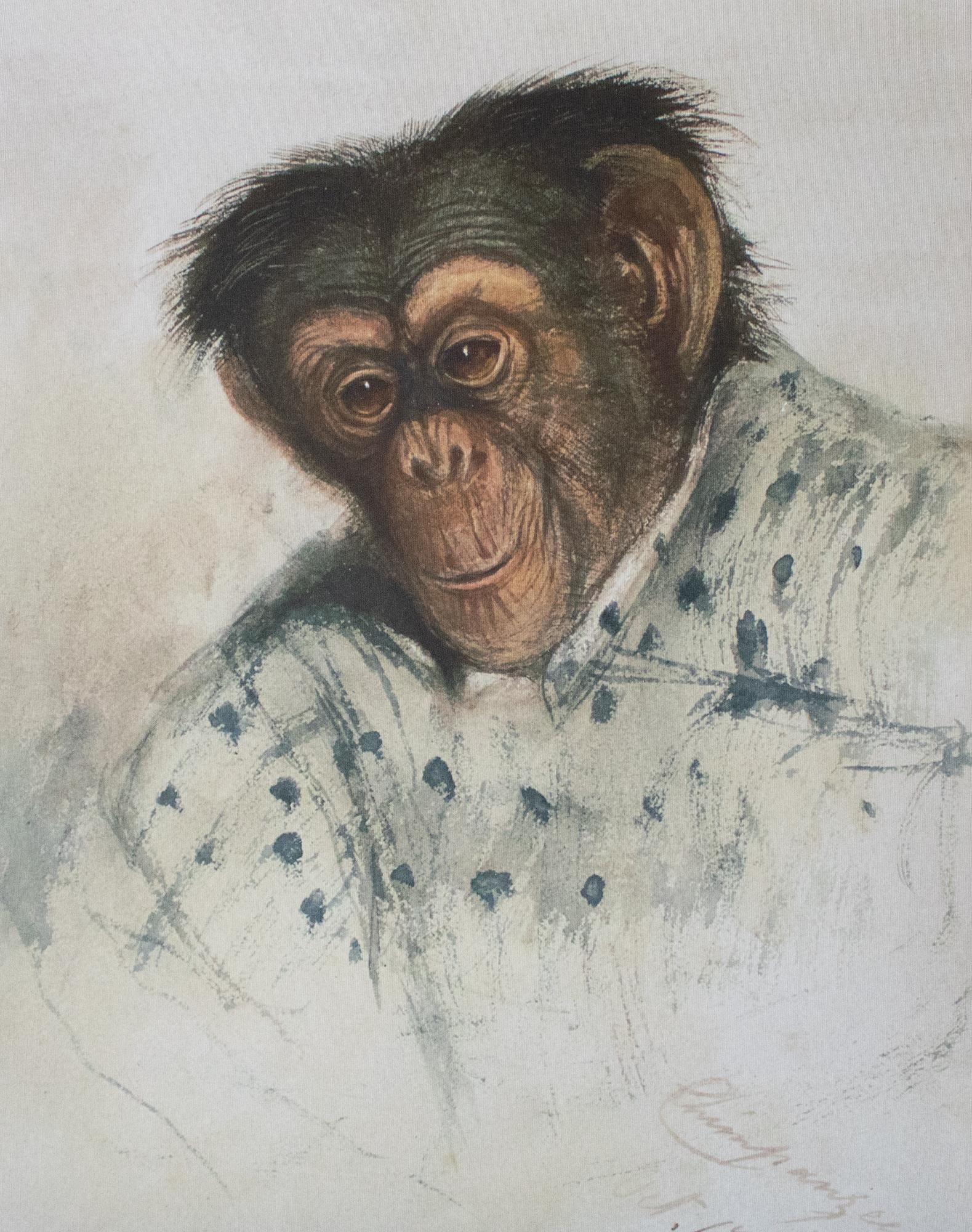 After Edward Lear "Portrait of Chimpanzee", Large Reproduction Print in Antique Frame - 3