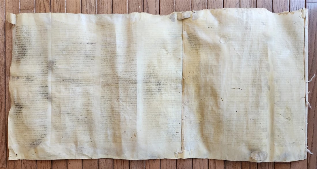 TORAH SCROLL FRAGMENT MANUSCRIPT on VELLUM antique BIBLE BOOK OF NUMBERS 21x42" - 11