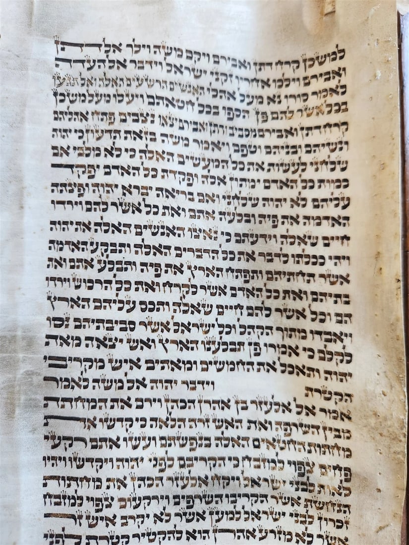 TORAH SCROLL FRAGMENT MANUSCRIPT on VELLUM antique BIBLE BOOK OF NUMBERS 21x42" - 4