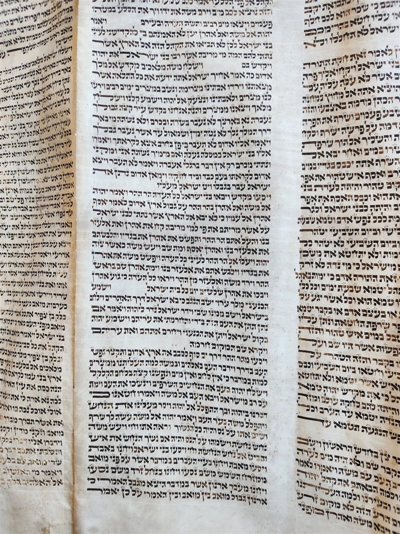 TORAH SCROLL FRAGMENT MANUSCRIPT on VELLUM antique BIBLE BOOK OF NUMBERS 21x42" - 6