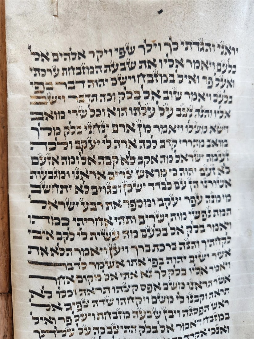 TORAH SCROLL FRAGMENT MANUSCRIPT on VELLUM antique BIBLE BOOK OF NUMBERS 21x42" - 8