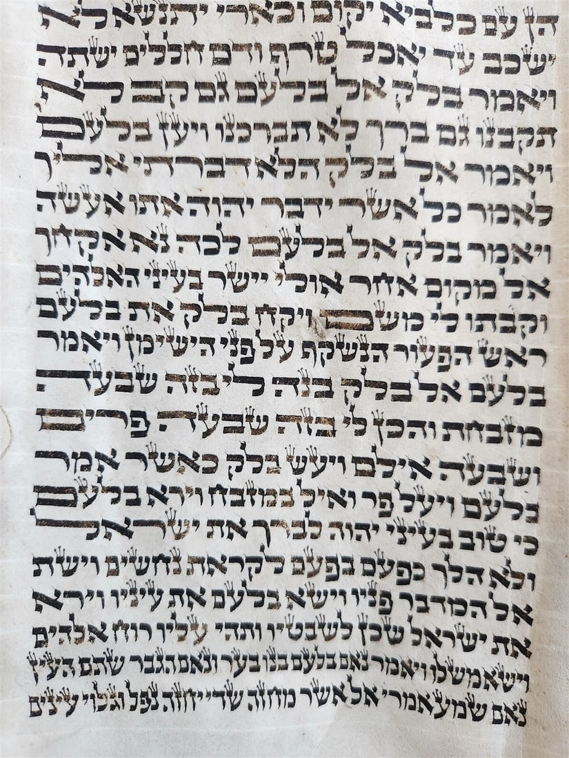 TORAH SCROLL FRAGMENT MANUSCRIPT on VELLUM antique BIBLE BOOK OF NUMBERS 21x42" - 9