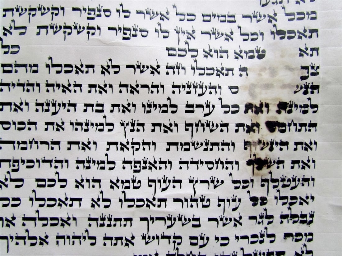 TORAH SCROLL FRAGMENT MANUSCRIPT VELLUM ANTIQUE DEUTERONOMY 12:31-14:26 - 3