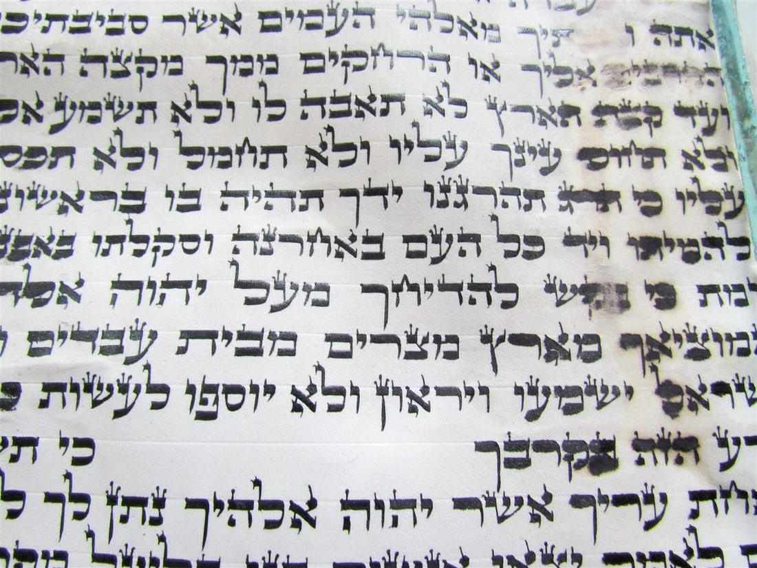 TORAH SCROLL FRAGMENT MANUSCRIPT VELLUM ANTIQUE DEUTERONOMY 12:31-14:26 - 4