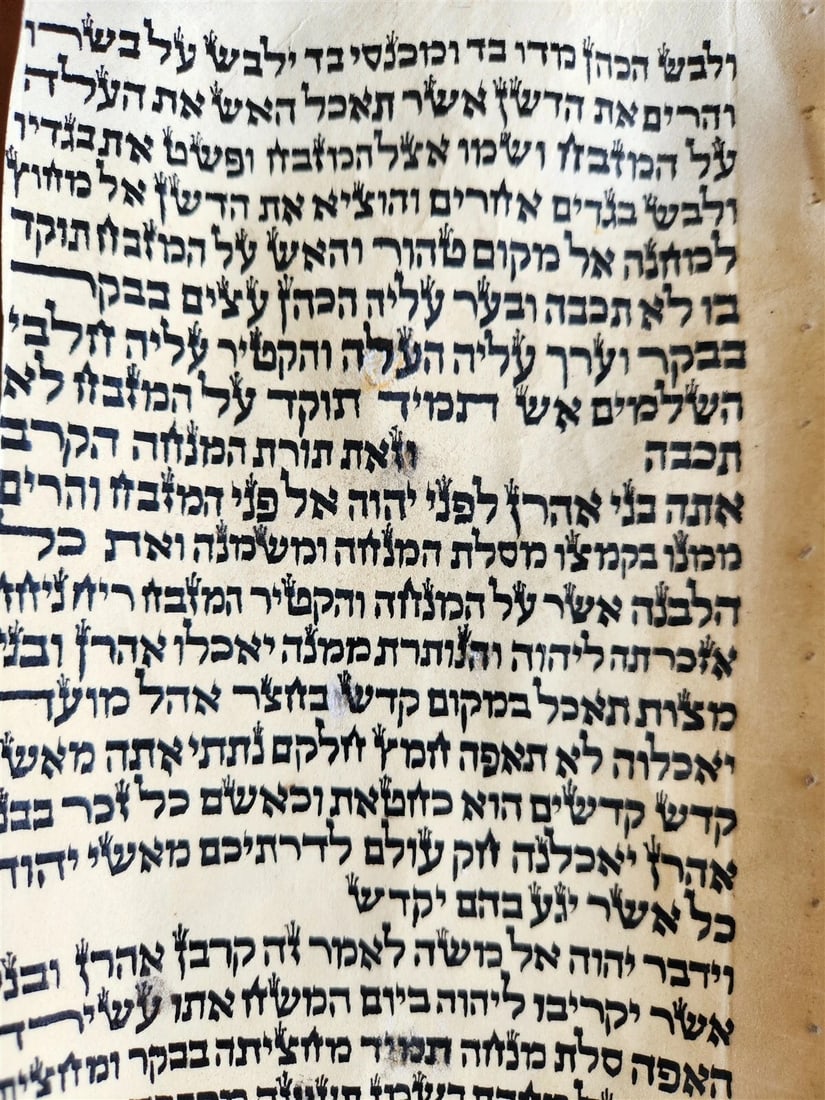 TORAH SCROLL FRAGMENT MANUSCRIPT on VELLUM antique BIBLE LEVITICUS 6:3 - 7:3 - 4