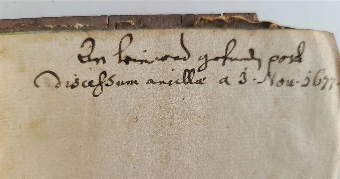 1586 Sermones Dominicales per Totum Annum antique PIGSKIN Jacobus de Voragine - 8