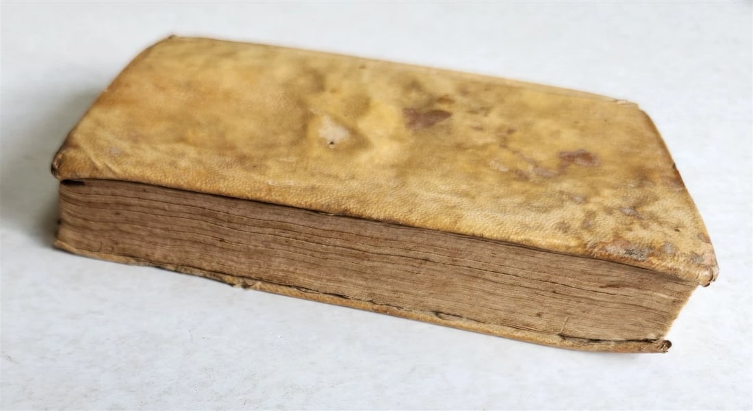 1733 JESUS PUER & SYLVIA antique LATIN Poetry VELLUM BINDING - 3