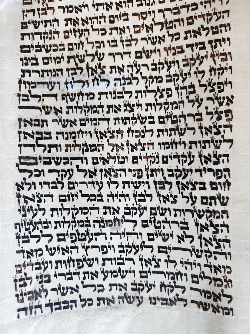 TORAH SCROLL FRAGMENT MANUSCRIPT on VELLUM antique BIBLE GENESIS 24:64 - 31:1 - 10