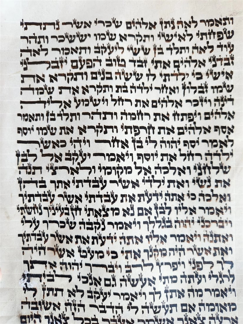 TORAH SCROLL FRAGMENT MANUSCRIPT on VELLUM antique BIBLE GENESIS 24:64 - 31:1 - 11