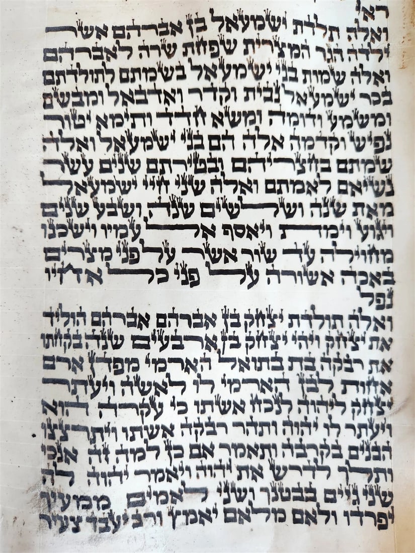 TORAH SCROLL FRAGMENT MANUSCRIPT on VELLUM antique BIBLE GENESIS 24:64 - 31:1 - 4