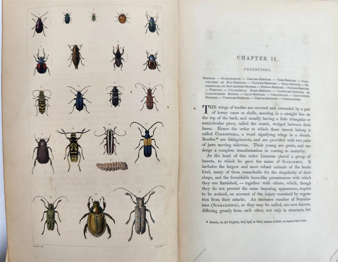 1862 TREATISE on INSECTS INJURIOUS TO VEGETATION antique ILLUSTRATED (1 of 20)