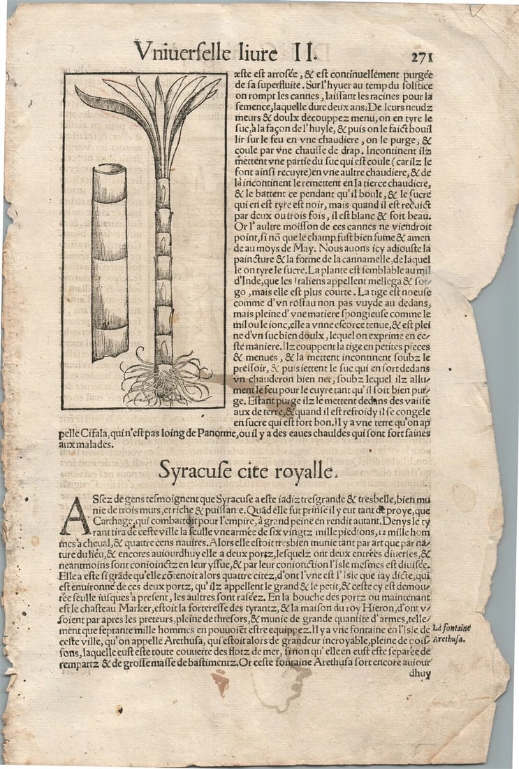 1575 SYRACUSE ITALY VIEW LEAF from BELLEFOREST EDITION of MUNSTER COSMOGRAPHY - 3
