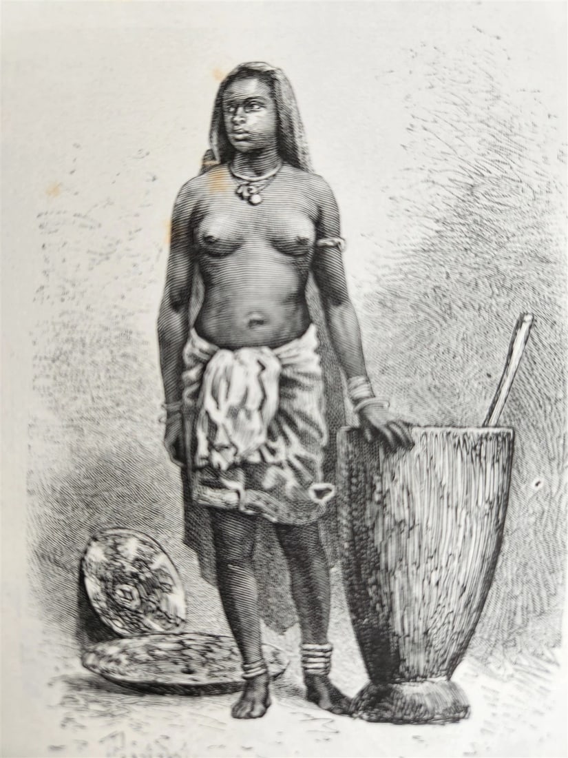 1880 HISTORY of VOYAGES ILLUSTRATED antique S. AMERICA ALGERIA SUMATRA AFRICA (1 of 20)