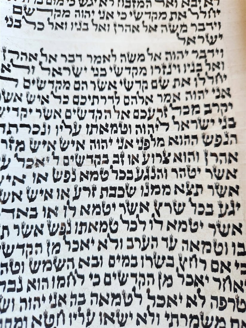 TORAH SCROLL FRAGMENT MANUSCRIPT on VELLUM antique BIBLE LEVITICUS 16:12 - 23:40 - 10