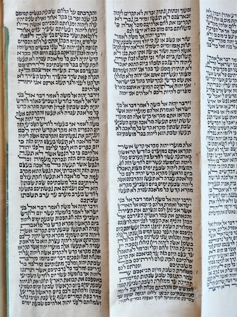 TORAH SCROLL FRAGMENT MANUSCRIPT on VELLUM antique BIBLE LEVITICUS 16:12 - 23:40 - 11