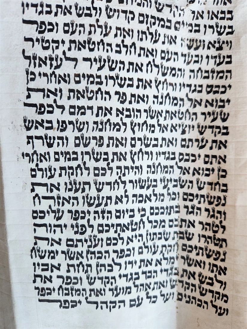 TORAH SCROLL FRAGMENT MANUSCRIPT on VELLUM antique BIBLE LEVITICUS 16:12 - 23:40 - 6