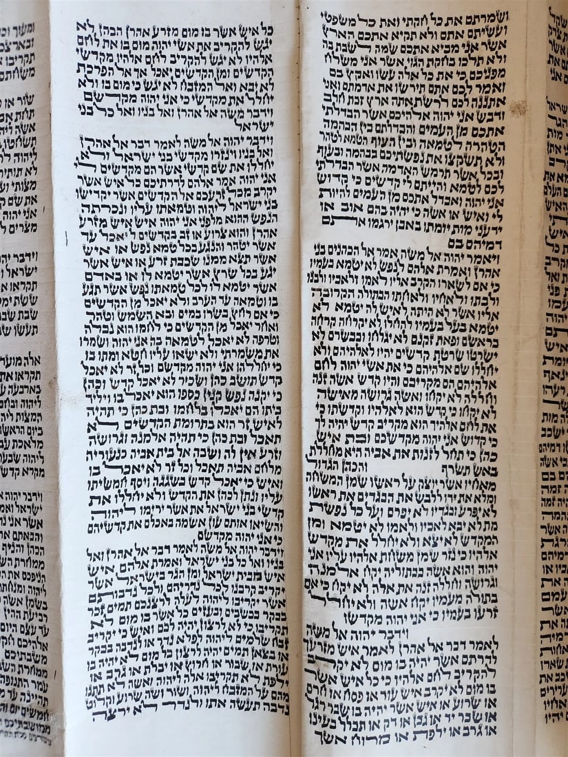 TORAH SCROLL FRAGMENT MANUSCRIPT on VELLUM antique BIBLE LEVITICUS 16:12 - 23:40 - 9