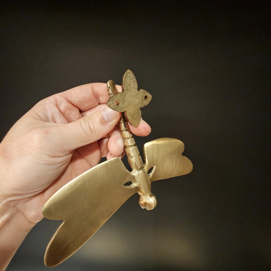 6-1/4" Brass Dragonfly Door Knocker - 8