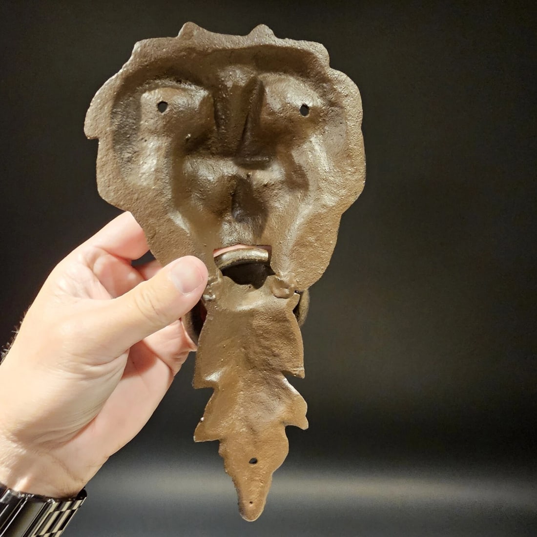 Cast Iron Lion Door Knocker w Hook - 5