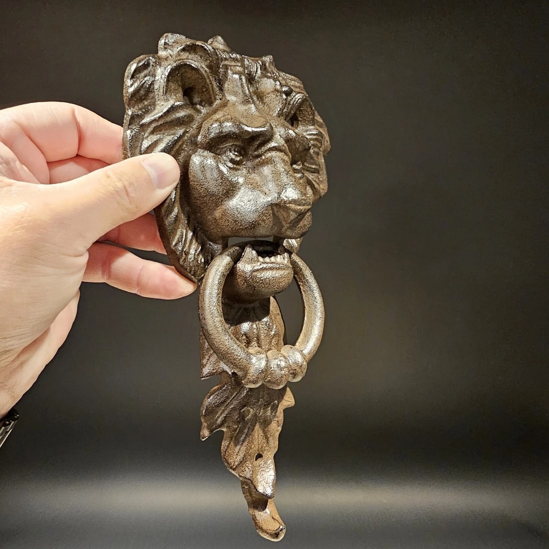 Cast Iron Lion Door Knocker w Hook - 9
