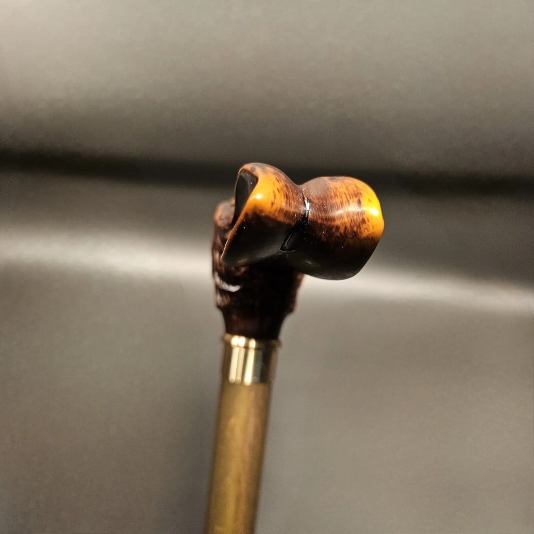 36" Jack Rabbit Walking Stick Cane - 5