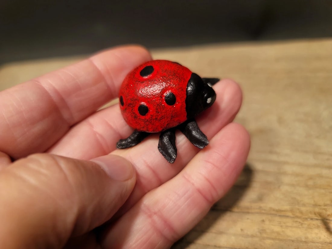 Cast Iron Lady Bug Good Luck - 13