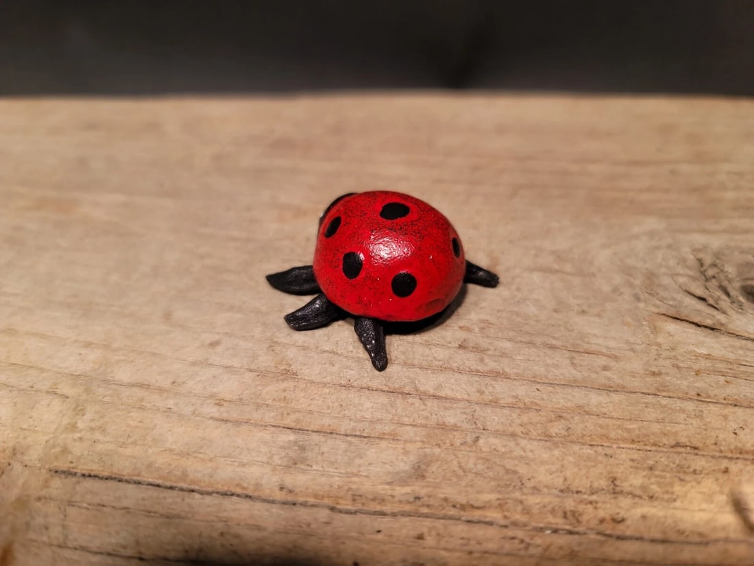 Cast Iron Lady Bug Good Luck - 6