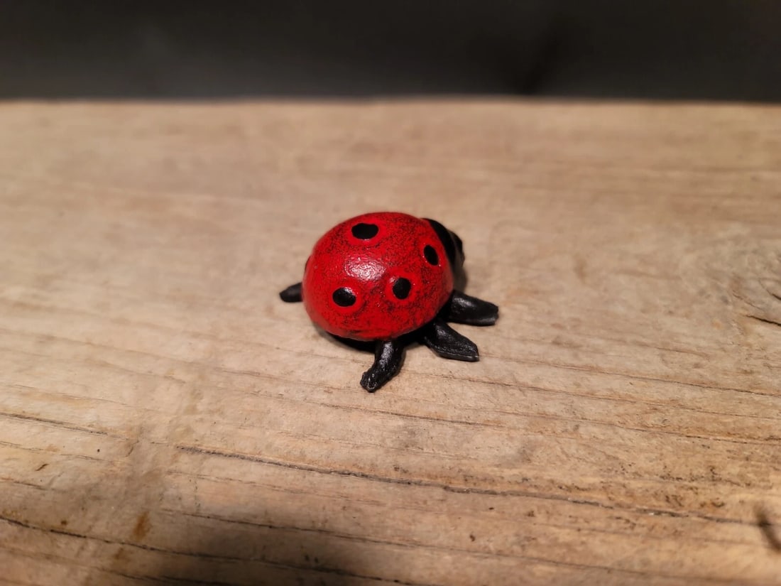 Cast Iron Lady Bug Good Luck - 7