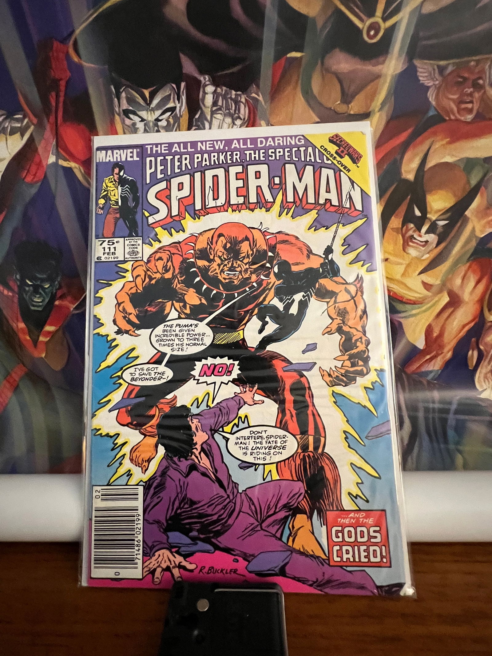 Spectactular Spiderman111 (1 of 1)