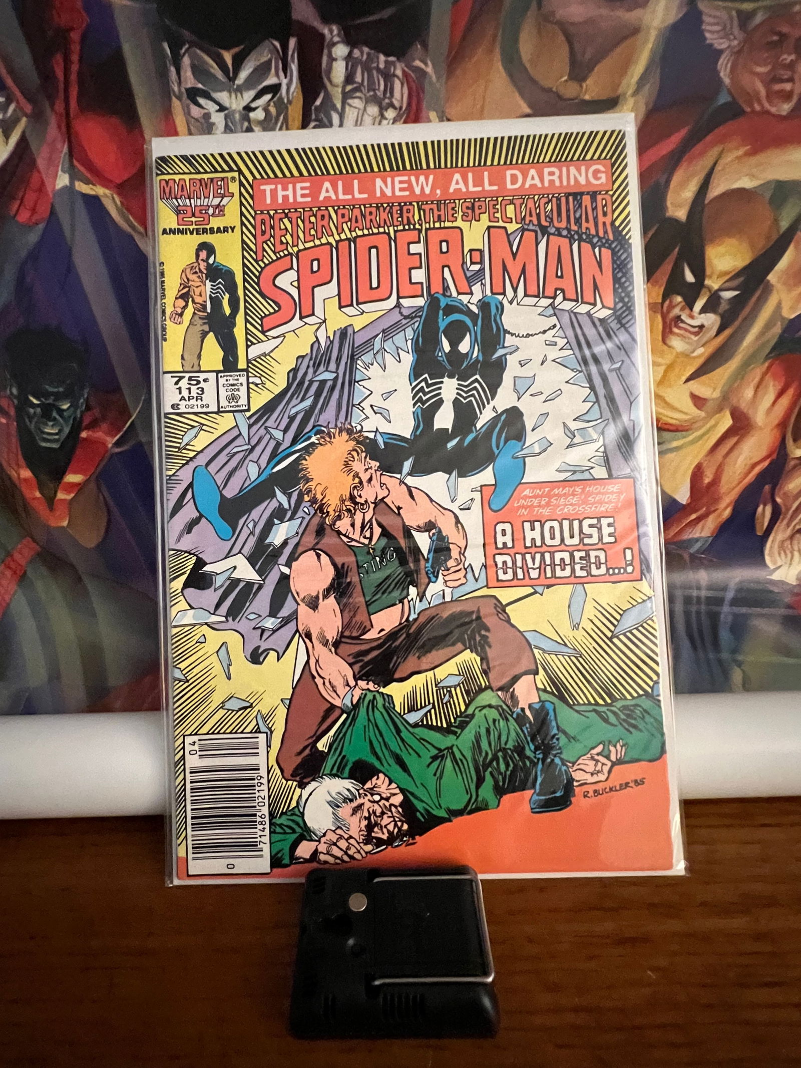Spectacular Spiderman113 (1 of 1)