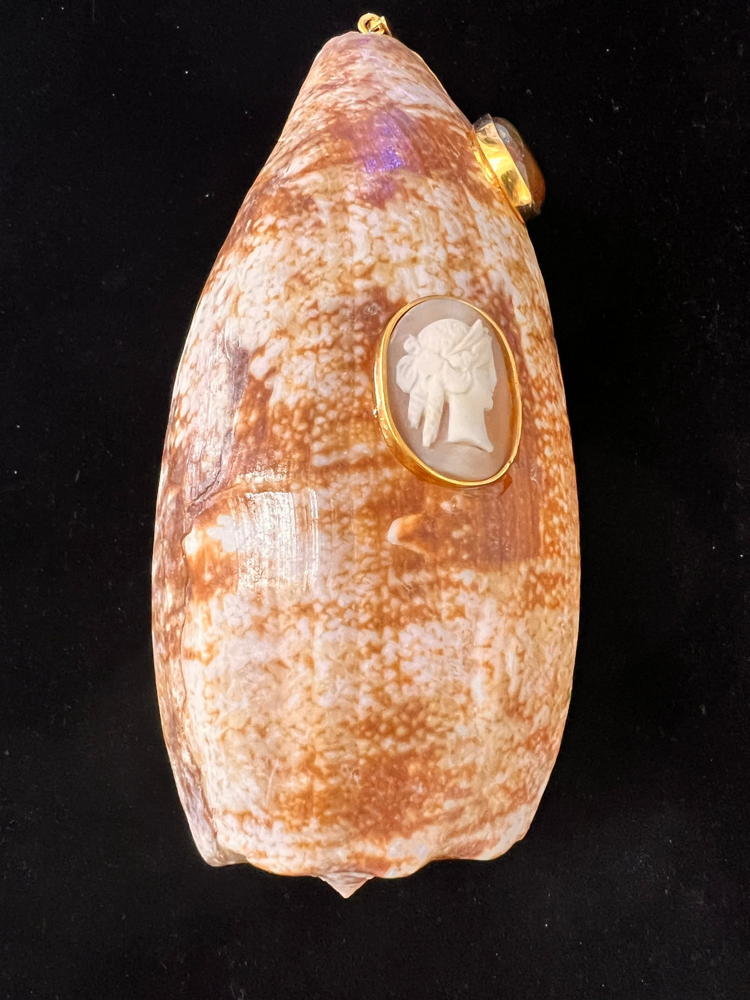 Large Conus Tulipa Shell Pendant with Antique Cameo & Agate (1 of 5)