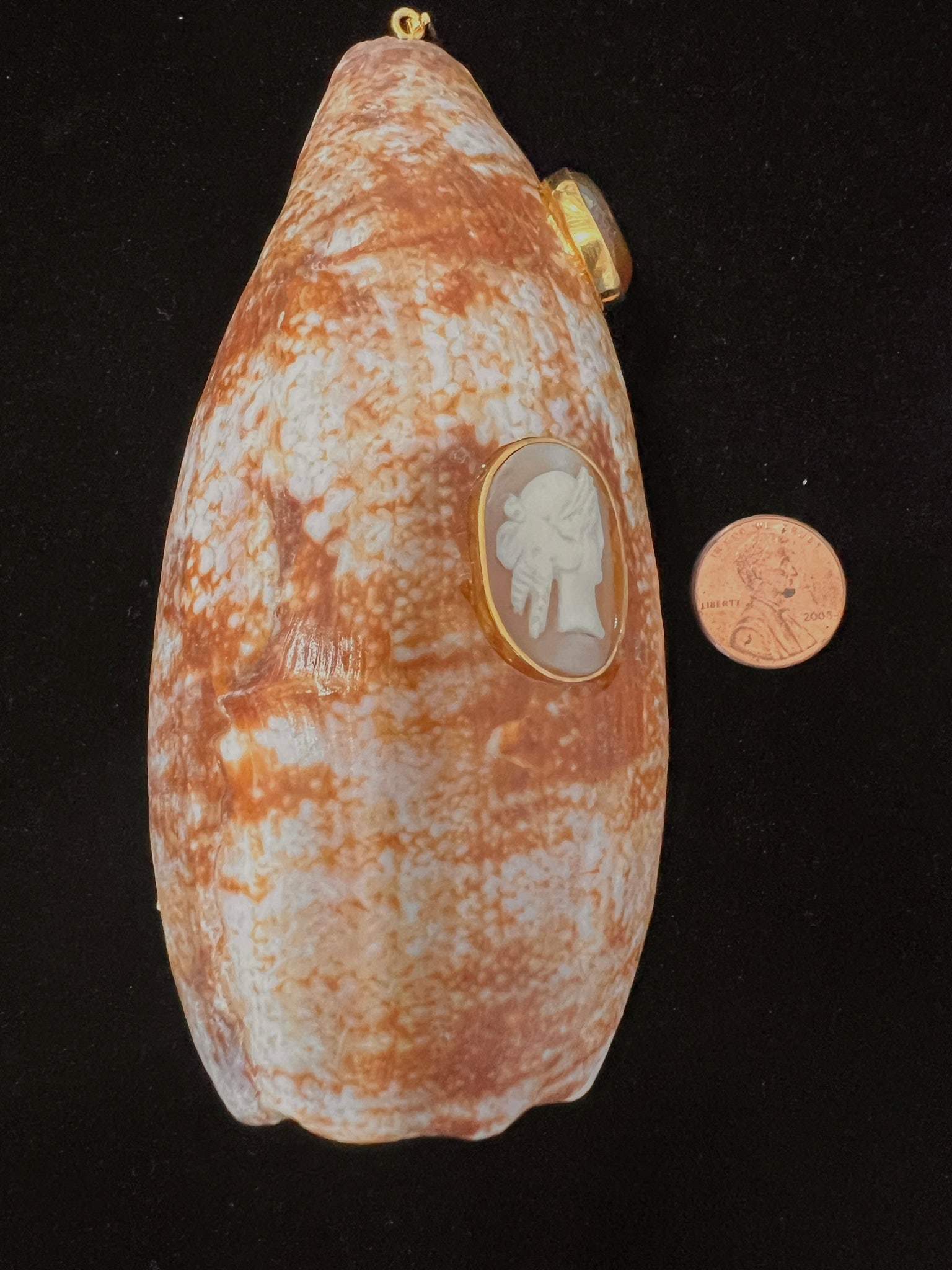 Large Conus Tulipa Shell Pendant with Antique Cameo & Agate - 2
