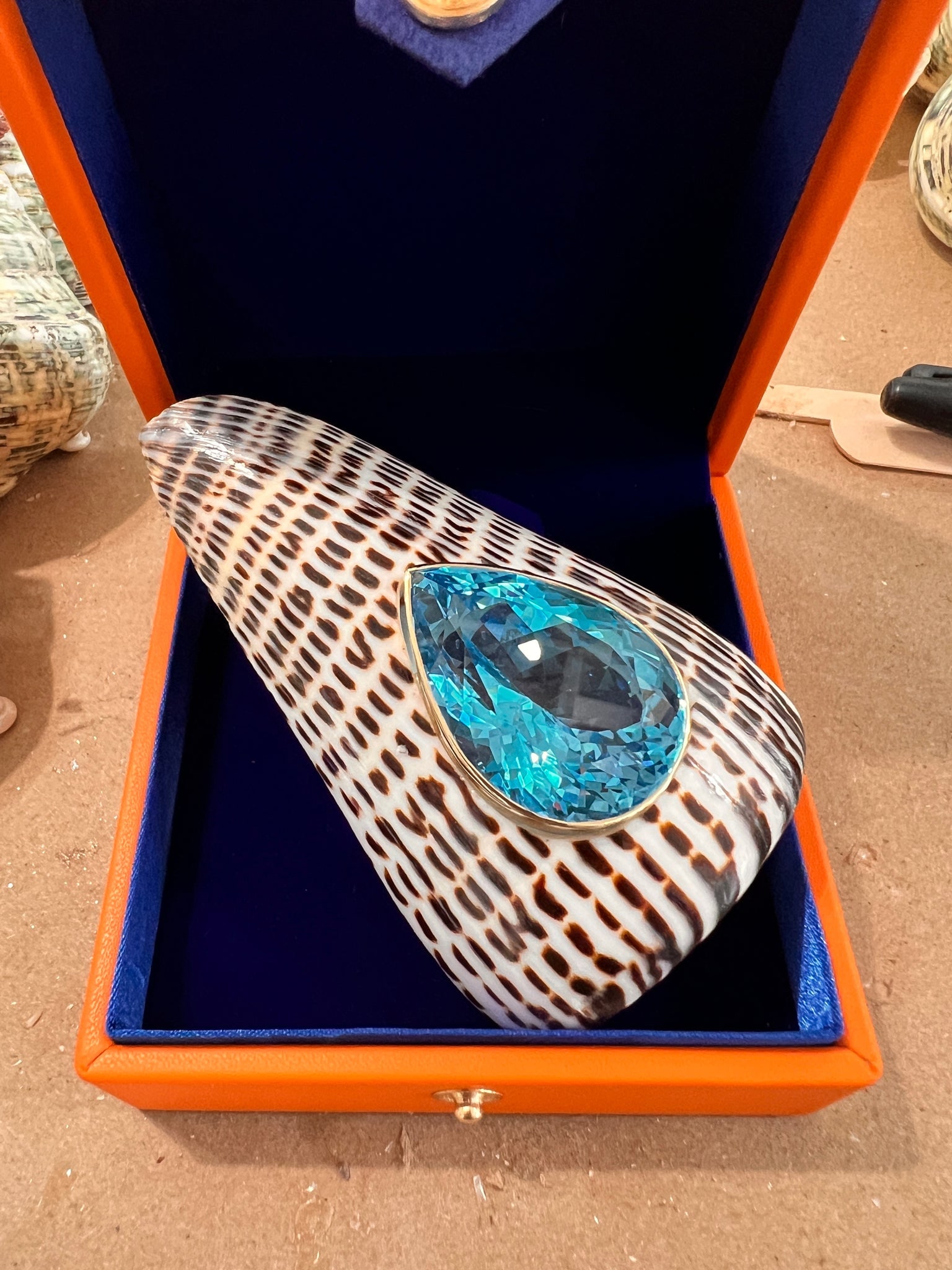 Conus Litteratus Shell Brooch with Swiss Blue Topaz - 4