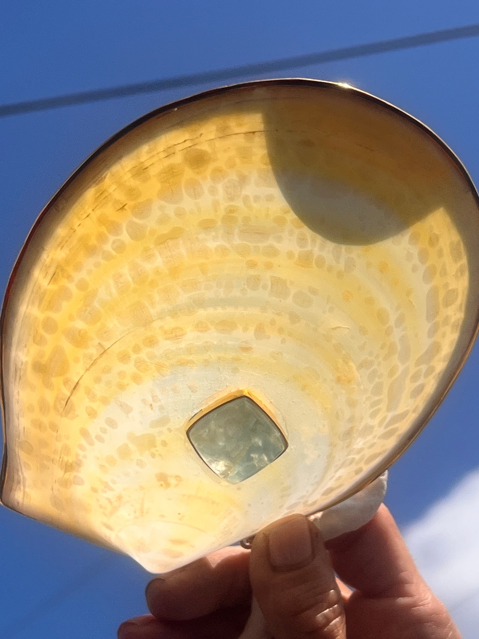 Acesta Rathbuni Shell Pendant with Aquamarine - 3