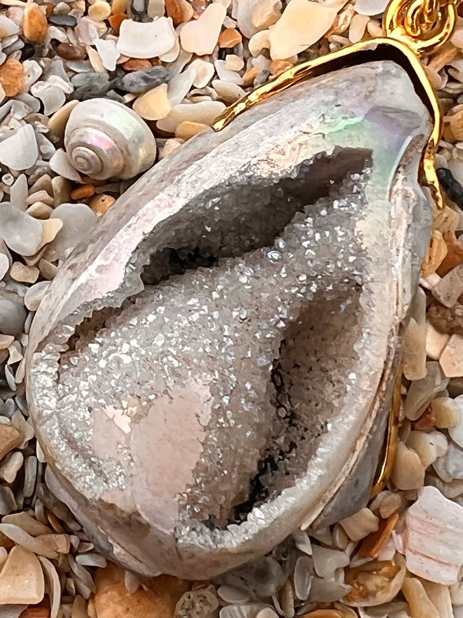 Fossilized Shell Pendant with Crystal - 2