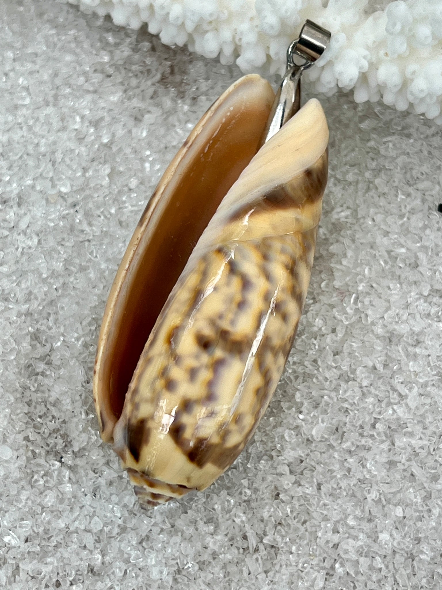 Large Olive Shell Pendant - 2