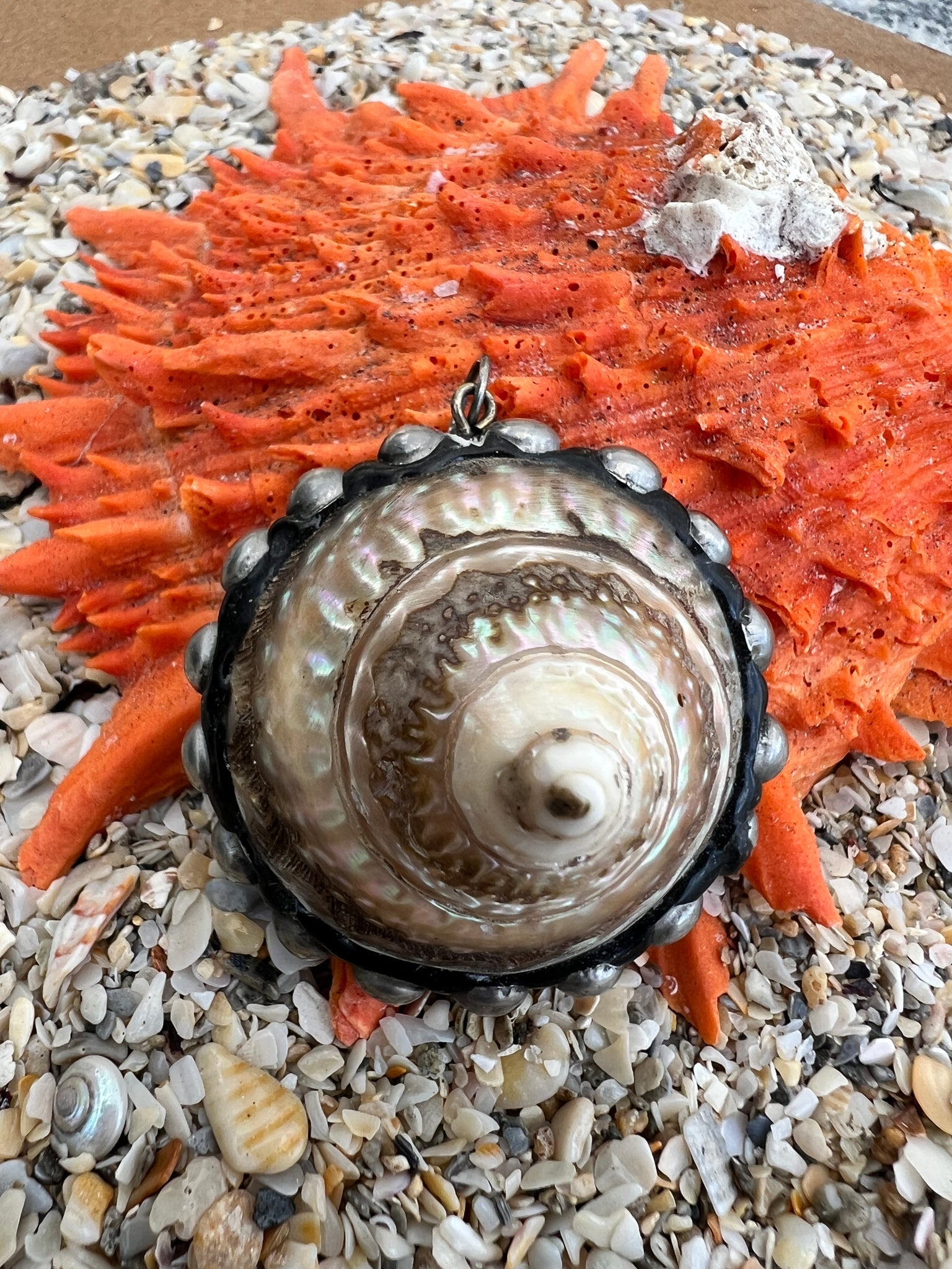 Trochus Shell Pendant with Silver - 2