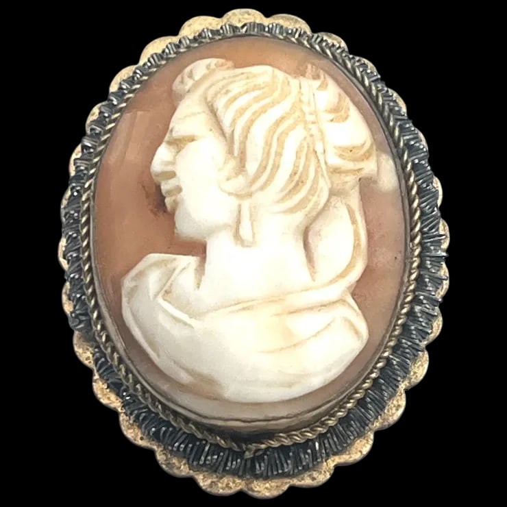 Vintage Left- Facing Shell Cameo with Scalloped Edge Brooch/Pendant (1 of 5)