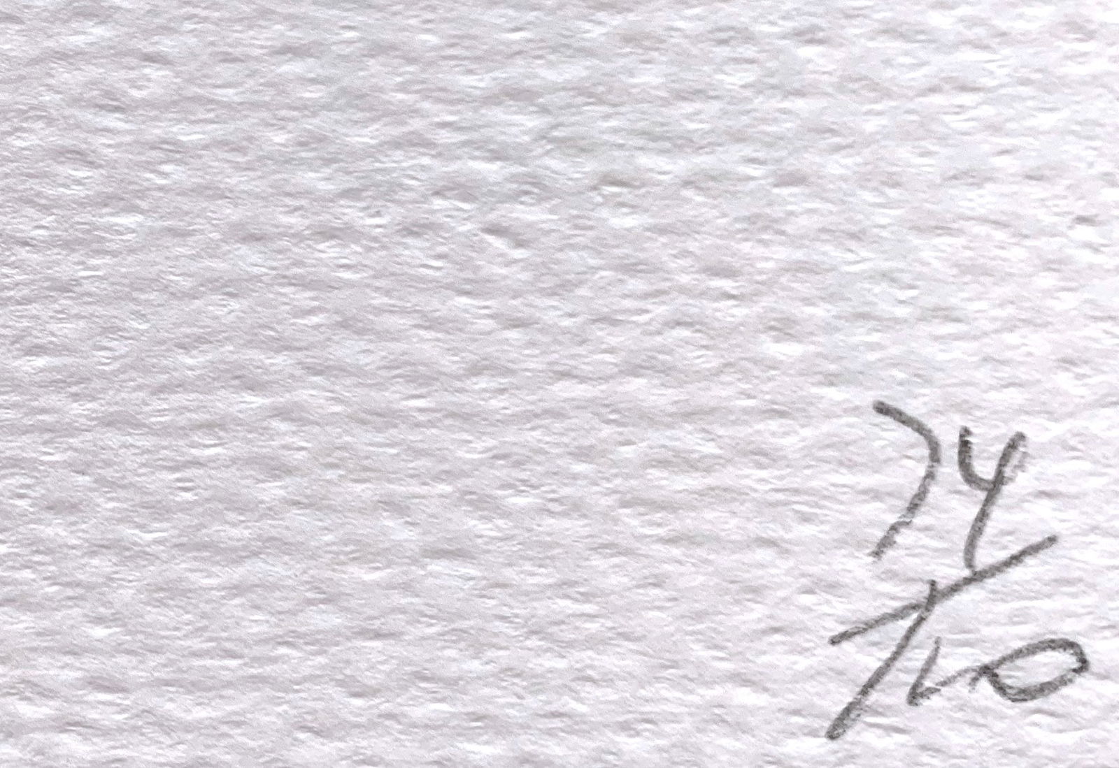 Death NYC Queen Haring dog Supreme - 3