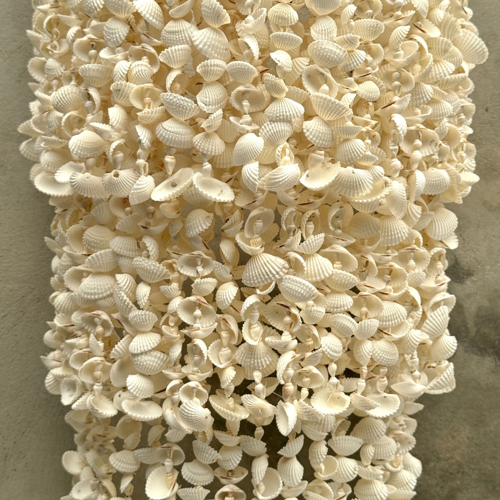 Stunning wall-mounted shell lamp - 3
