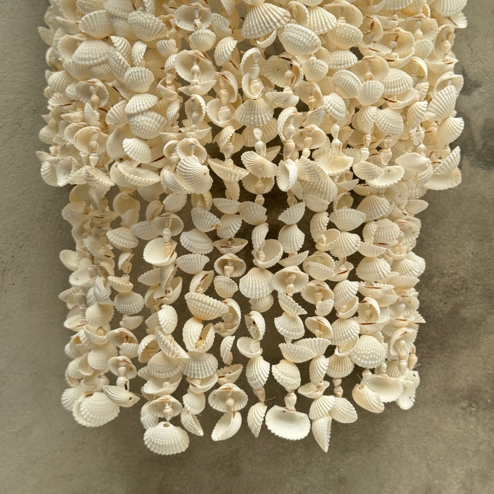 Stunning wall-mounted shell lamp - 4