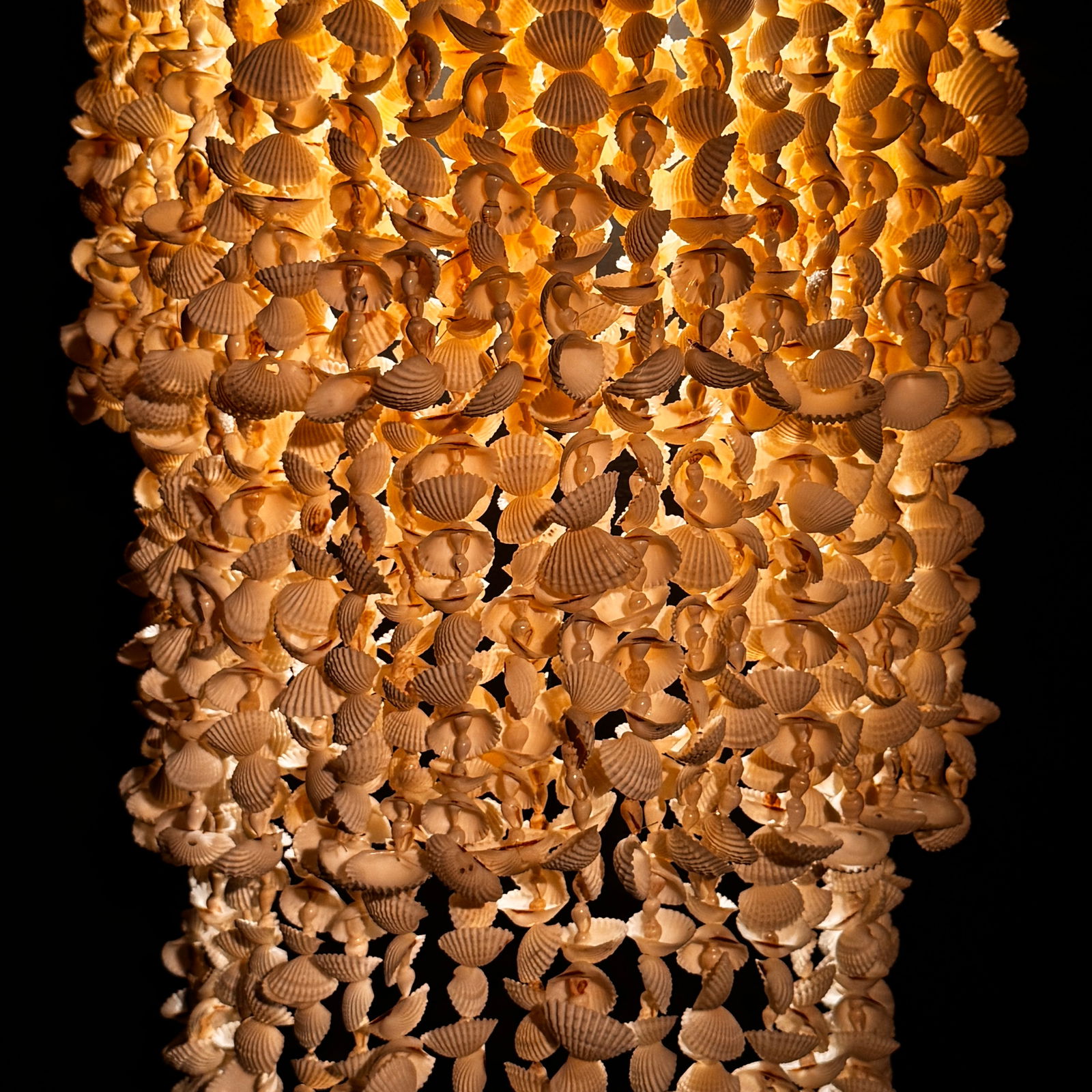 Stunning wall-mounted shell lamp - 9
